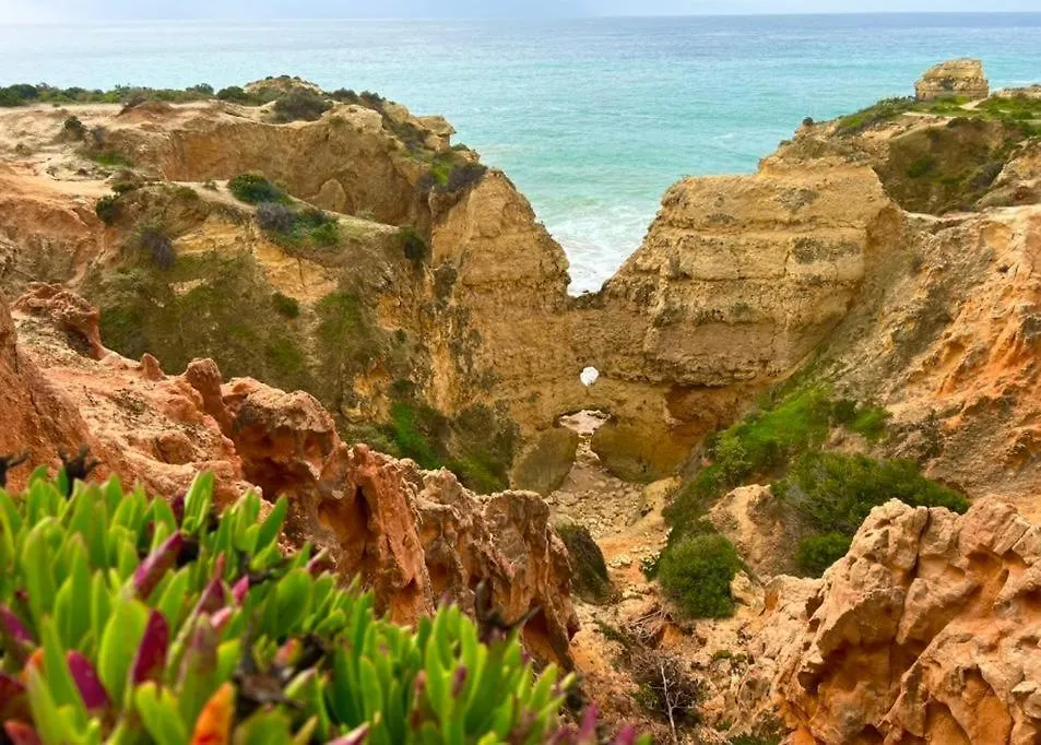 Marina Zen Apartment - Orada, Albufeira Portugal